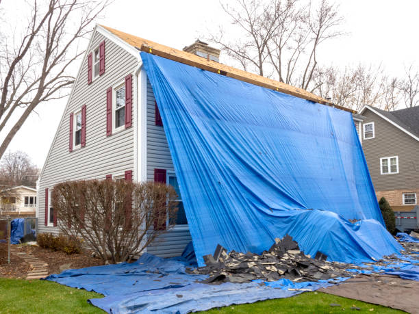 Best Estate Cleanout  in Shields, MI